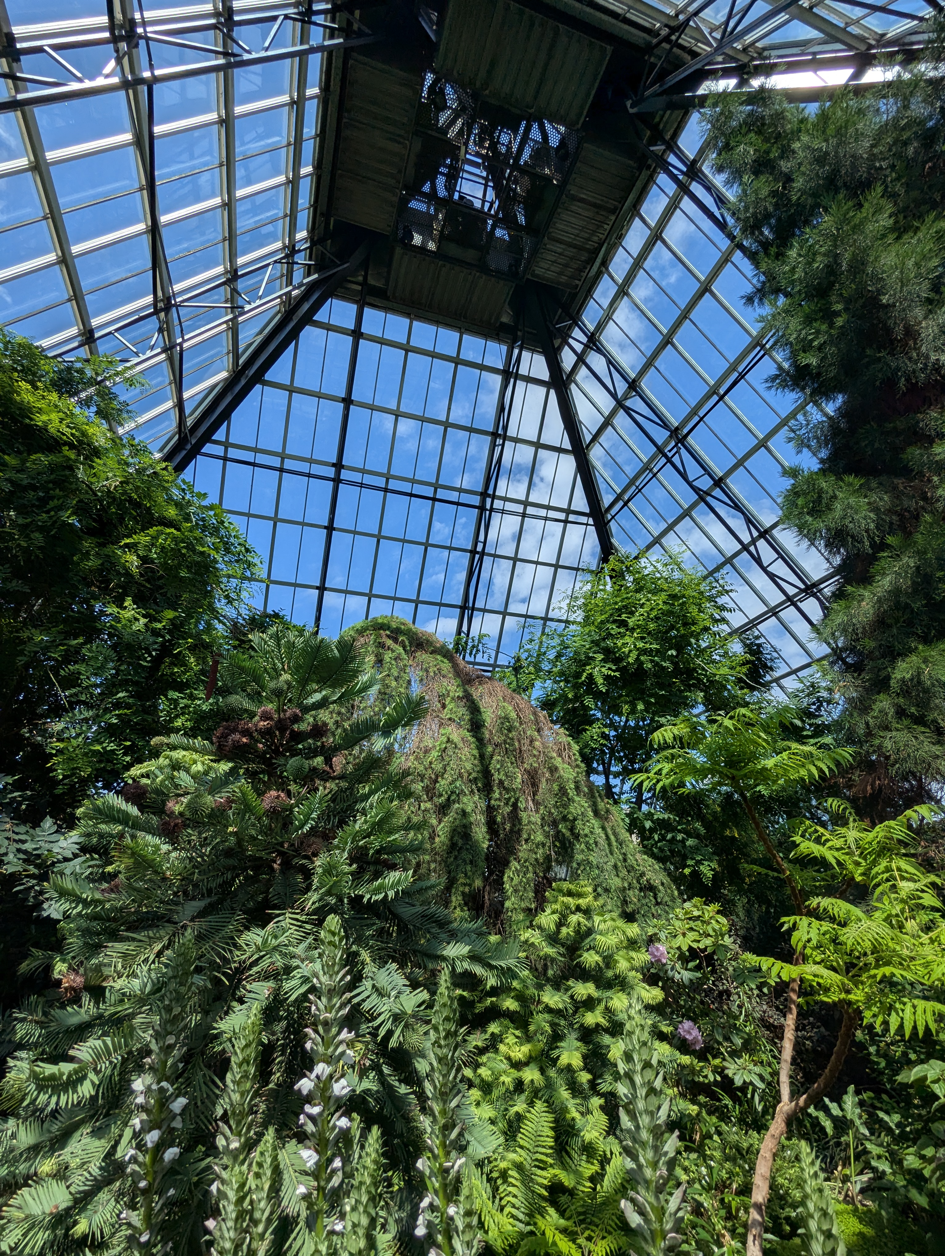 Birthday Trip to Canada, Edmonton, Pyramids, Muttart Observatory